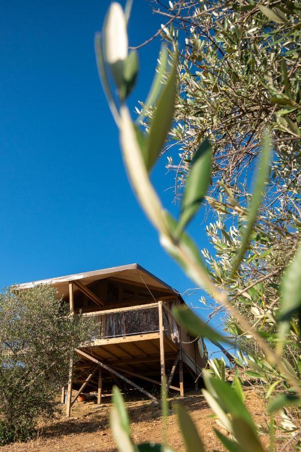 Glamping Podere San Jacopo Massa Marittima Luaran gambar